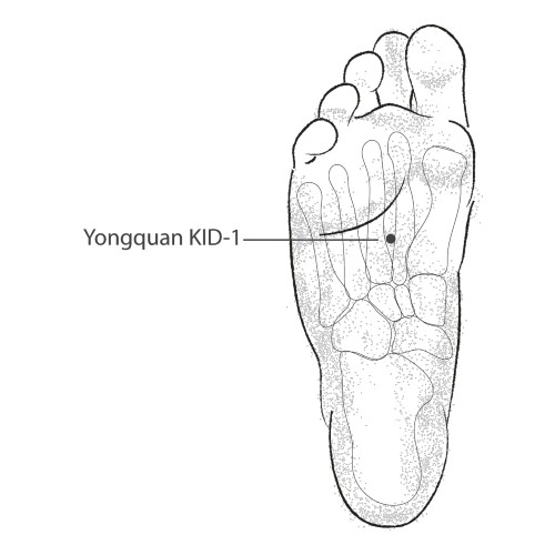 Yongquan acupuncture point